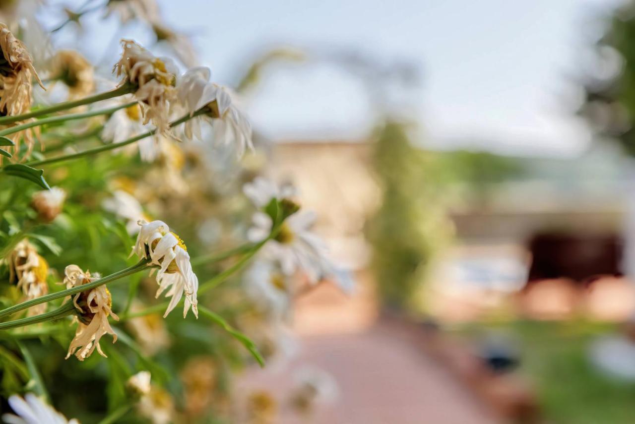 Holiday Home Giardino Marino Pomer Luaran gambar