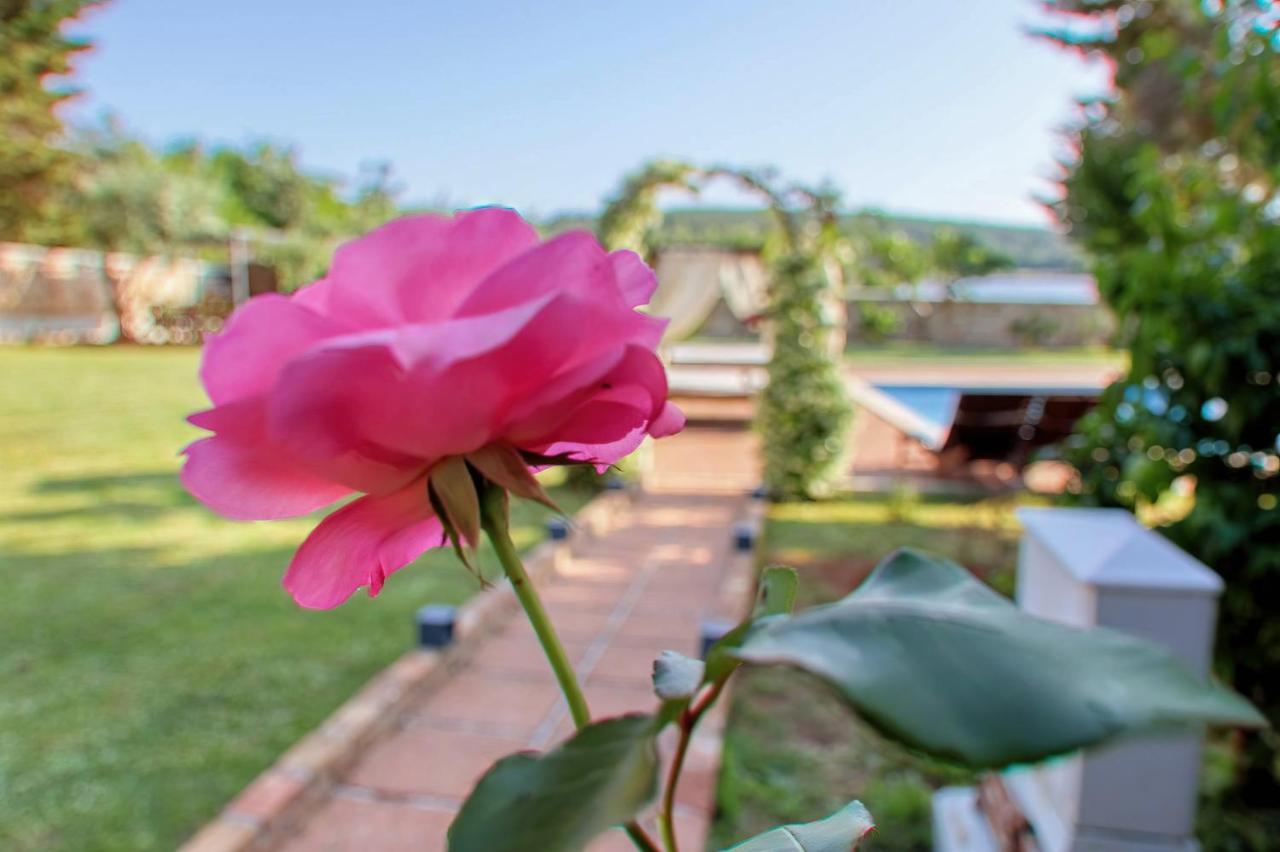 Holiday Home Giardino Marino Pomer Luaran gambar